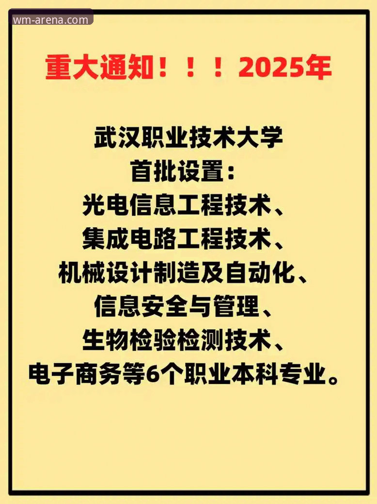 WM完美体育安全吗功能详解 vs 其他平台：2025新版对比分析